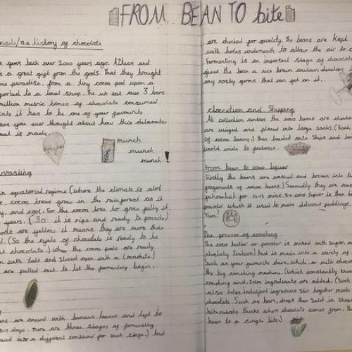 For our English we have researched how chocolate is made and written an explanation text to describe the process from bean to bar!
