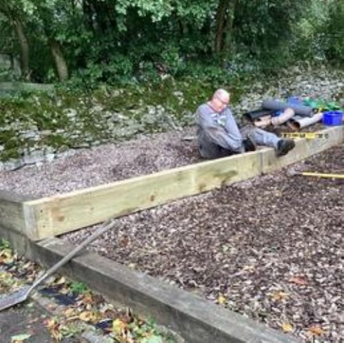 Our Environmental Morning on the School Grounds