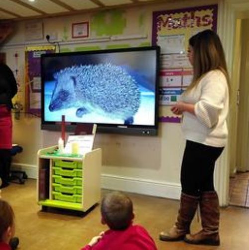 Hedgehogs Assembly - Eco-Council