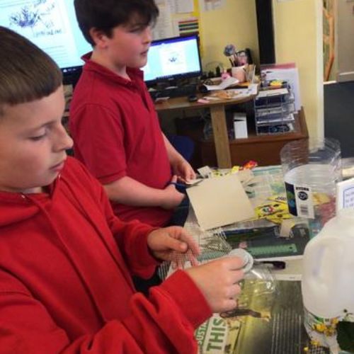 Key Stage 2 are really enjoying taking creative risks with making their bird nest sculptures!