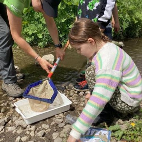 Tideswell Dale Visit - River Studies with the Peak Ambassadors