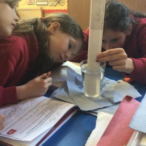 Year 5 and 6 learnt about light refraction by observing solid objects in water.