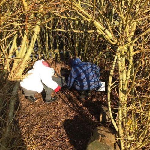 We are very lucky that we can use our wonderful outdoor space to investigate the natural world and the animals which live in it.