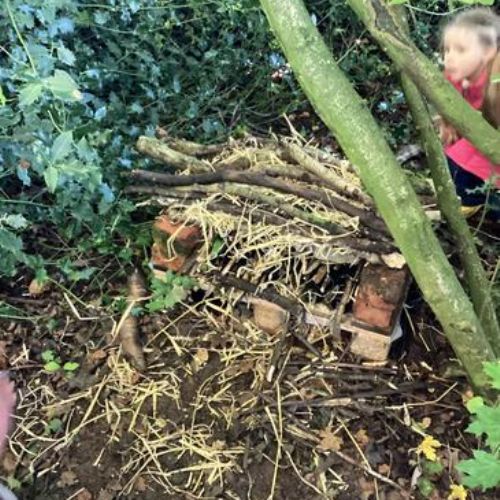 Building Bug Hotels and Hedgehogs Homes in the School Woods