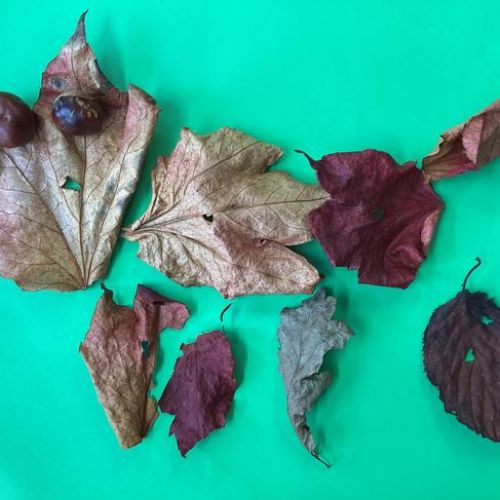Autumn leaf art