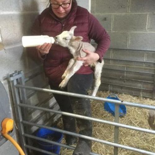 Farm visit