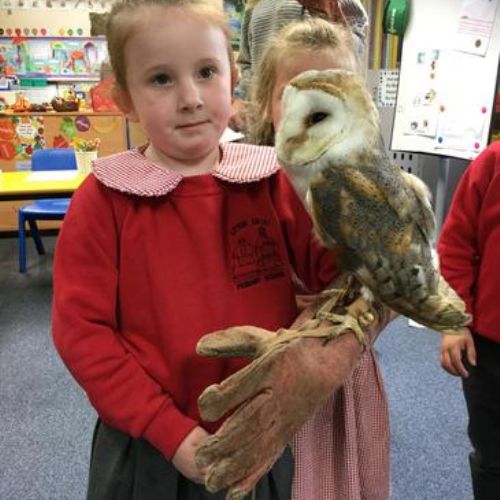 Science week