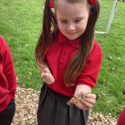 we have been learning about lifecycles and have watched caterpillars turning into butterflies