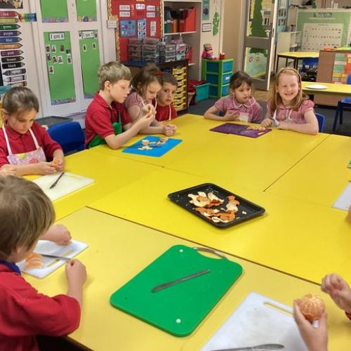 We prepared and tasted different fruits and planned our own fruit salad